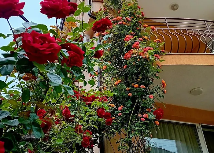 Апартаменты Laura 2 *