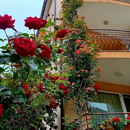 Appartement Laura 2 *
